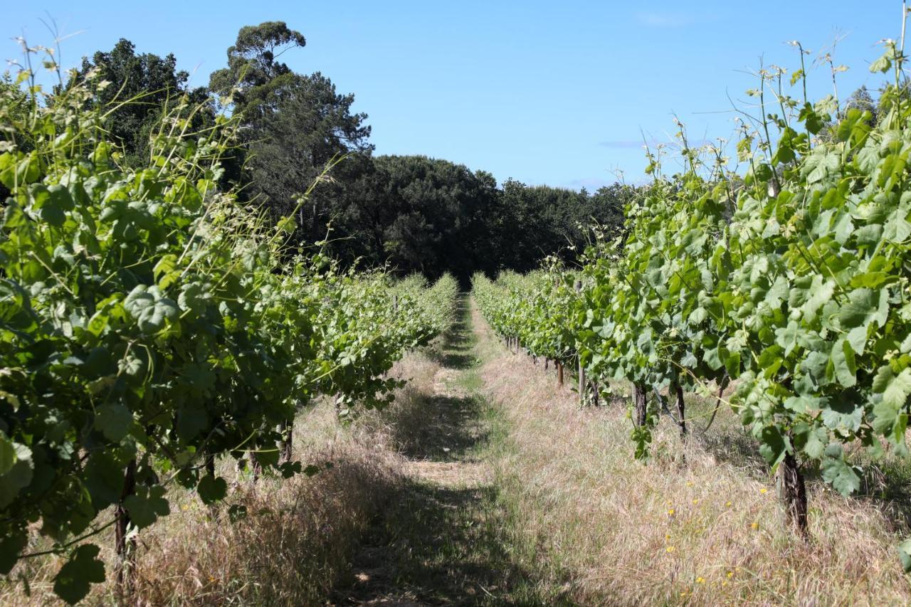 Quinta De Chousas - Braga - Agroturismo Экстерьер фото