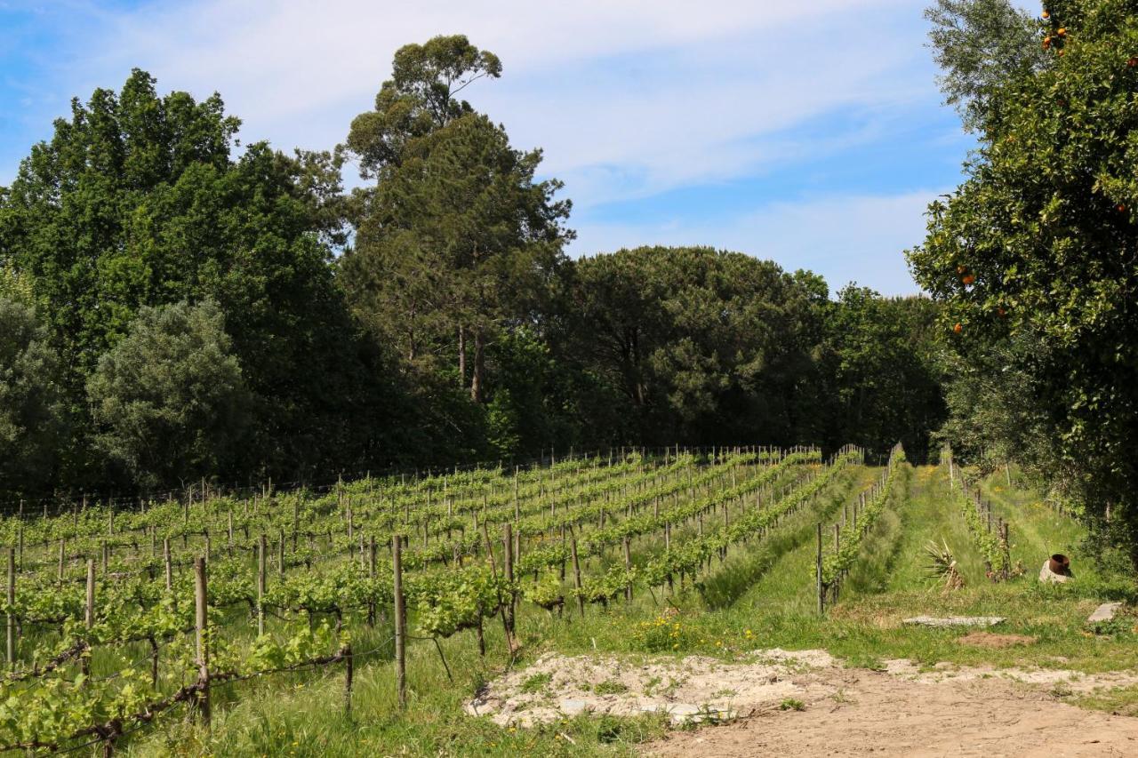 Quinta De Chousas - Braga - Agroturismo Экстерьер фото